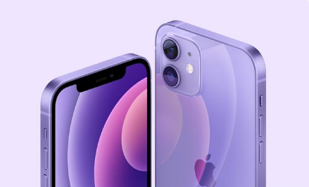牡丹江苹果手机维修分享紫色版iPhone 12有什么技术亮点 